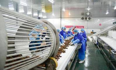 科技賦能鮮味體驗(yàn) 每日優(yōu)鮮小龍蝦節(jié)開(kāi)啟，超聲技術(shù)驅(qū)動(dòng)生鮮開(kāi)發(fā)新篇章