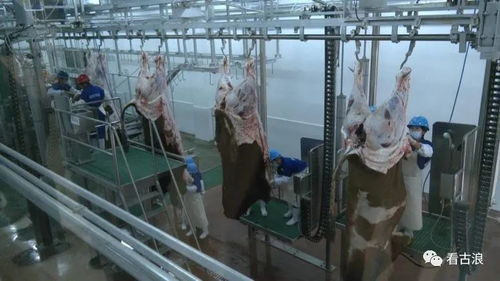 市政協(xié)調(diào)研組赴古浪縣調(diào)研農(nóng)產(chǎn)品加工產(chǎn)業(yè)發(fā)展情況，聚焦超聲技術(shù)賦能產(chǎn)業(yè)升級(jí)